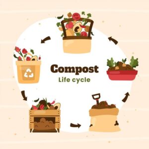 compostagem doméstica